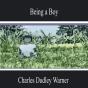 Being A Boy - Preview