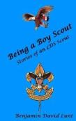 Being A Boy Scout