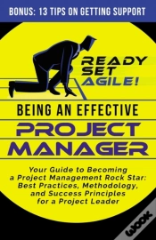 Capa do artigo Being An Effective Project Manager