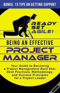 Capa do artigo Being An Effective Project Manager
