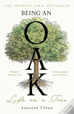 Capa do artigo Being An Oak