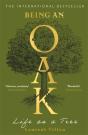 Being An Oak - Preview