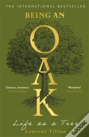 Capa do artigo Being An Oak