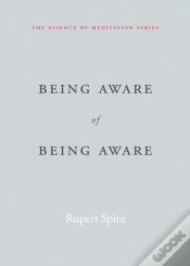 Capa do artigo Being Aware Of Being Aware