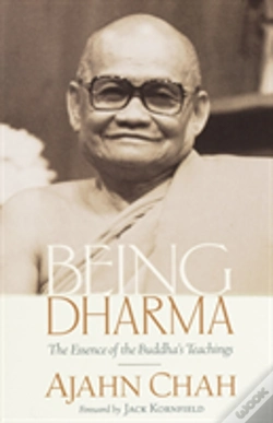 Capa do artigo Being Dharma