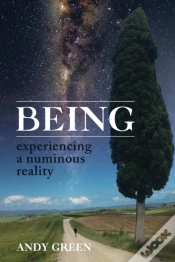 Capa do artigo Being, Experiencing A Numinous Reality