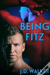 Capa do artigo Being Fitz