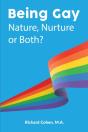 Being Gay - Preview