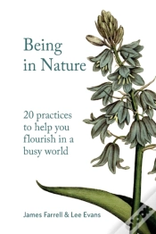 Capa do artigo Being In Nature: 20 Practices To Help Yo