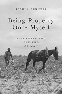 Capa do artigo Being Property Once Myself