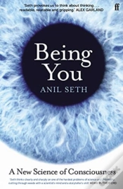 Capa do artigo Being You