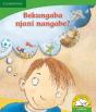 Bekungaba Njani Nangabe? (Isindebele) - Preview