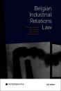 Belgian Industrial Relations Law (2nd Edition) - Preview