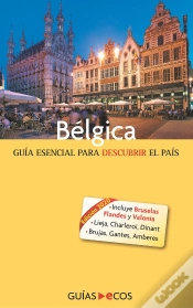 Capa do artigo Belgica