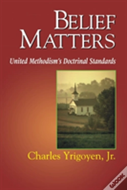 Capa do artigo Belief Matters