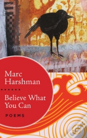 Capa do artigo Believe What You Can