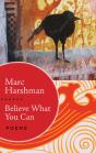 Believe What You Can - Preview