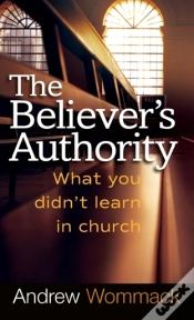 Capa do artigo Believer