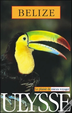 Capa do artigo Belize