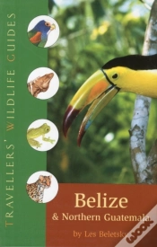 Capa do artigo Belize