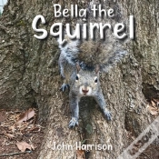 Capa do artigo Bella The Squirrel