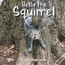 Capa do artigo Bella The Squirrel