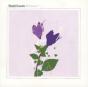 Belladonna - CD - Preview