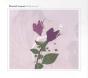 Belladonna - CD - Preview