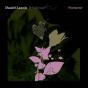 Belladonna Nocturne - Vinil - Preview