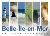 Capa do artigo Belle Ile En Mer