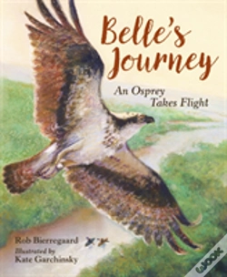 Capa do artigo Belle'S Journey