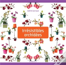 Capa do artigo Belles Orchidees
