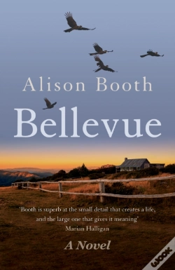 Capa do artigo Bellevue