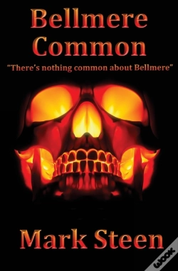 Capa do artigo Bellmere Common