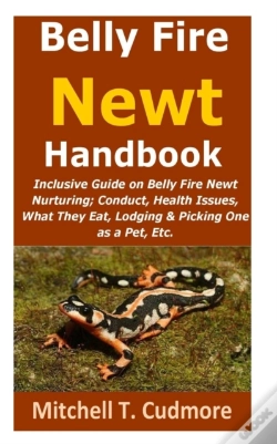 Capa do artigo Belly Fire Newt Handbook