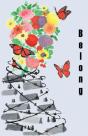 Belong - Preview