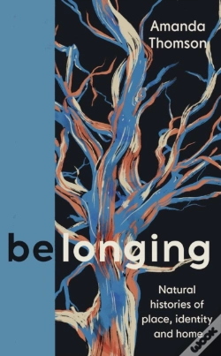 Capa do artigo Belonging