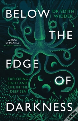 Capa do artigo Below The Edge Of Darkness