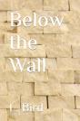 Below The Wall - Preview