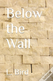 Capa do artigo Below The Wall