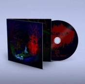Capa do artigo Below the Waste - CD