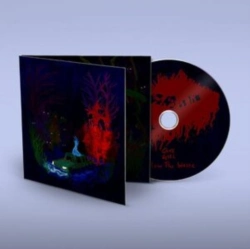 Capa do artigo Below the Waste - CD