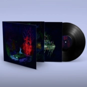 Capa do artigo Below the Waste - Vinil