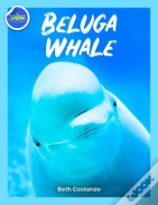 Capa do artigo Beluga Whale Activity Workbook For Kids!