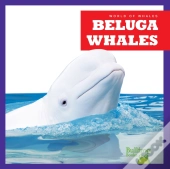 Beluga Whales