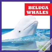 Capa do artigo Beluga Whales