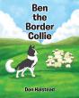 Ben The Border Collie - Preview