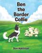 Ben The Border Collie - Preview