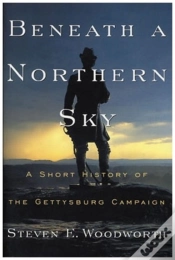 Capa do artigo Beneath A Northern Sky