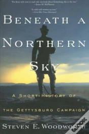 Capa do artigo Beneath A Northern Sky